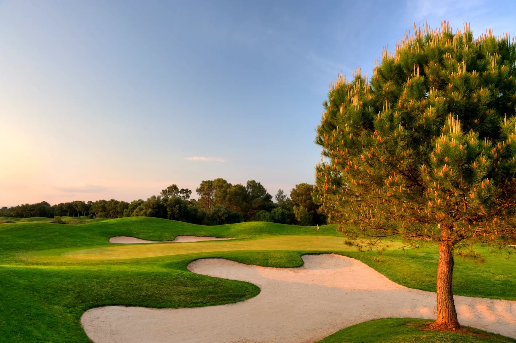 Golf Son Antem West
